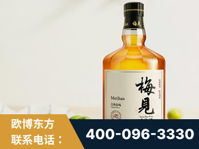 台州-梅见青梅酒